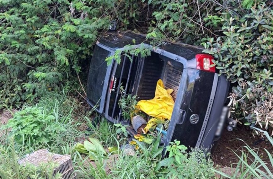 Furto de veículo em Miraí termina com acidente e prisão em flagrante