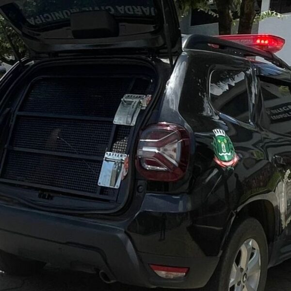 Motorista bêbado atropela cachorro e acaba preso em Leopoldina