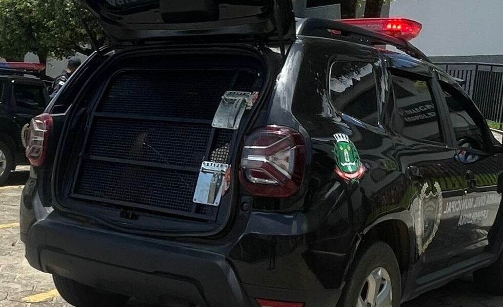 Motorista bêbado atropela cachorro e acaba preso em Leopoldina