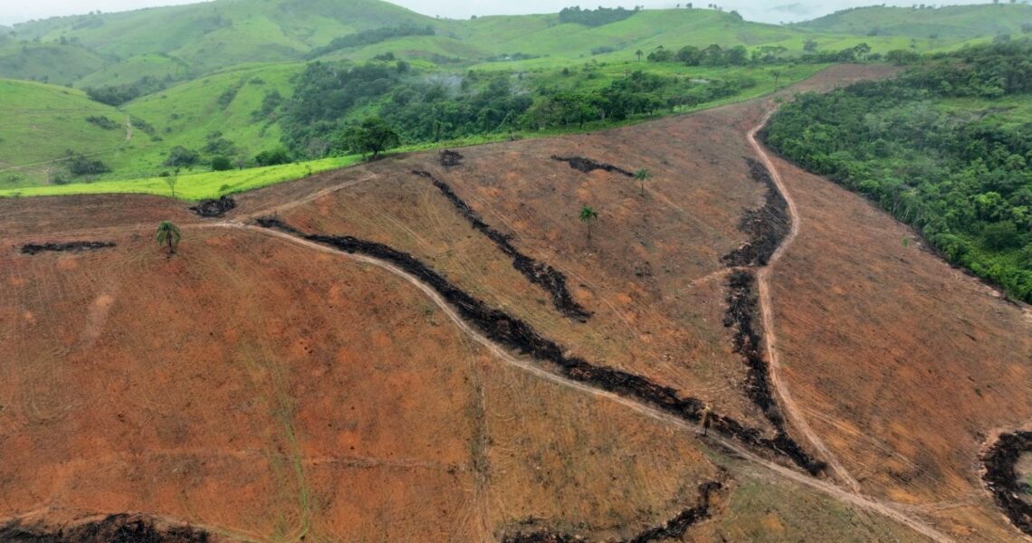 PM do Meio Ambiente aplica multa de mais de R$ 500 mil por desmate ilegal em Pirapetinga
