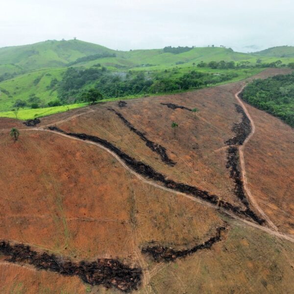 PM do Meio Ambiente aplica multa de mais de R$ 500 mil por desmate ilegal em Pirapetinga