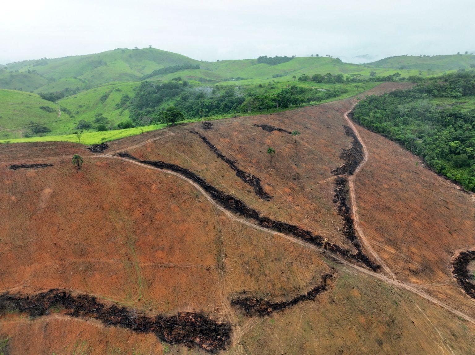 PM do Meio Ambiente aplica multa de mais de R$ 500 mil por desmate ilegal em Pirapetinga
