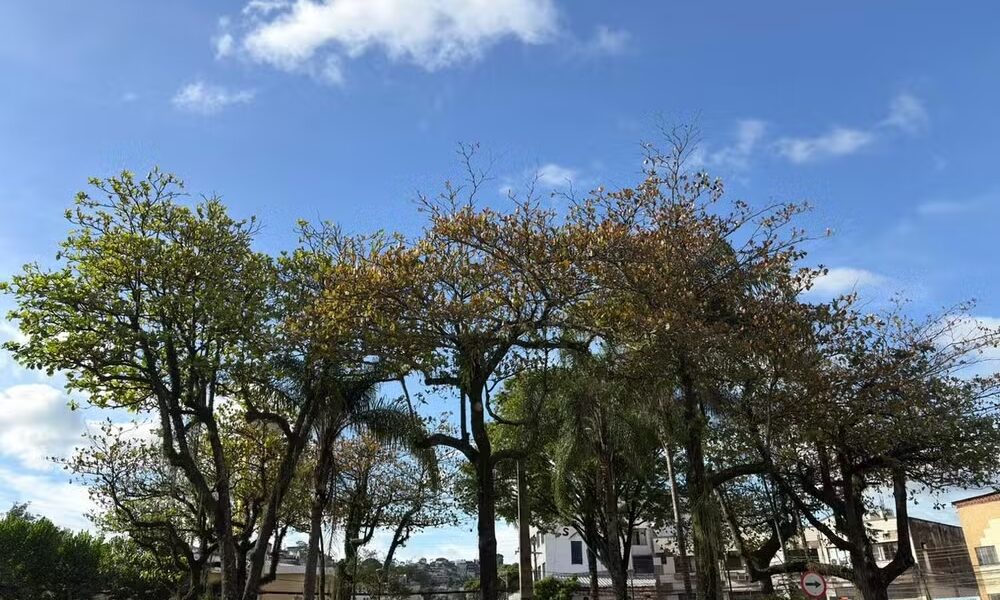 Chuva perde força em Juiz de Fora após mortes e estragos