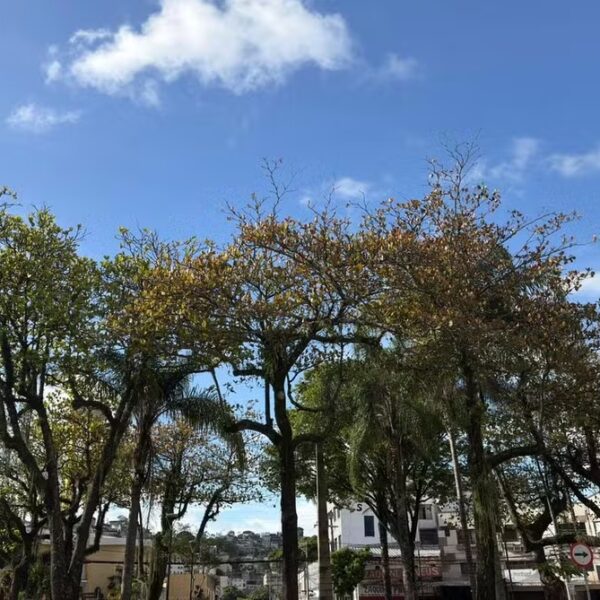 Chuva perde força em Juiz de Fora após mortes e estragos