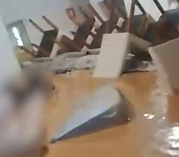 Cenas dramáticas: enchente invade asilo e deixa idosos ilhados em Ubá