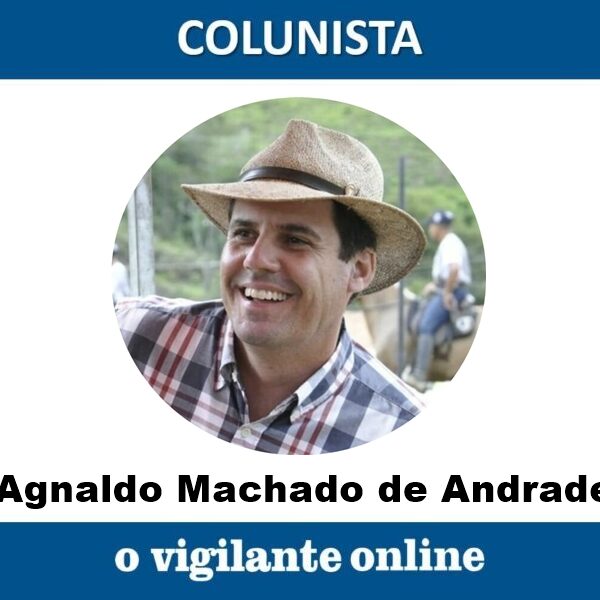 Coluna do Andrade
