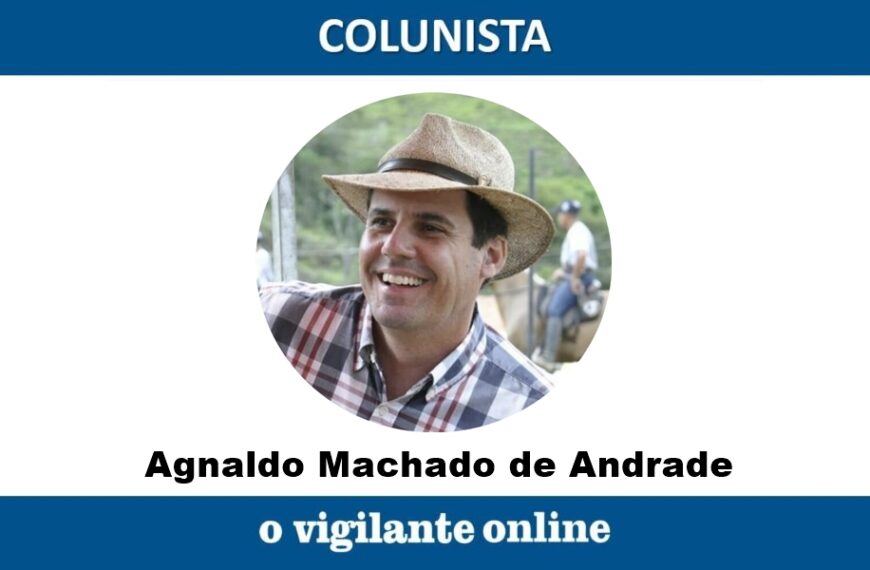 Coluna do Andrade