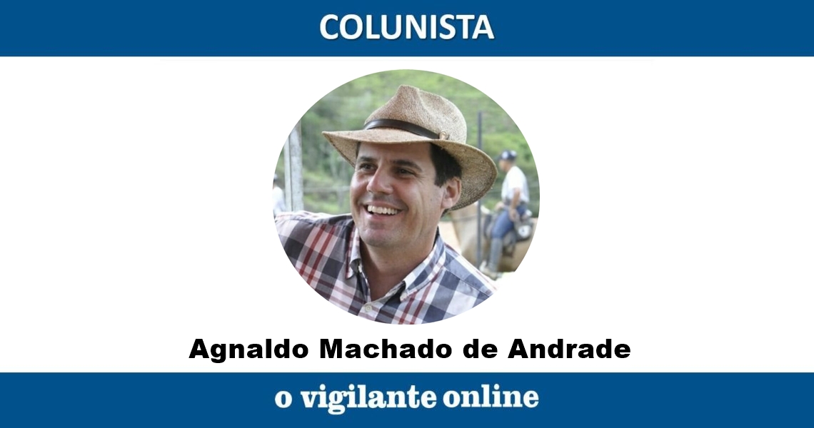 Coluna do Andrade