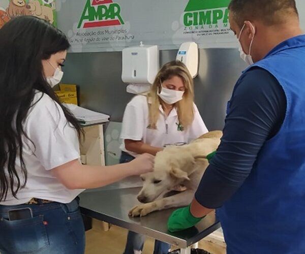 Leopoldina realiza nova etapa de castração gratuita com apoio do Castramóvel