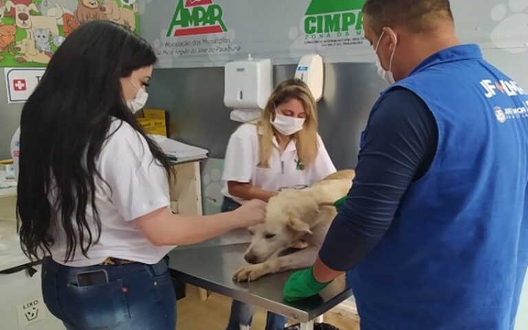 Leopoldina realiza nova etapa de castração gratuita com apoio do Castramóvel