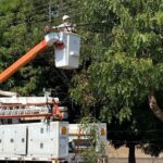 200 mil clientes ficaram sem energia por árvores, pipas e objetos na rede elétrica na região em 2026