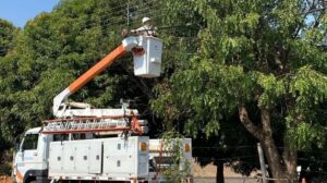 200 mil clientes ficaram sem energia por árvores, pipas e objetos na rede elétrica na região em 2026