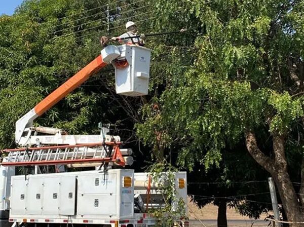 200 mil clientes ficaram sem energia por árvores, pipas e objetos na rede elétrica na região em 2026