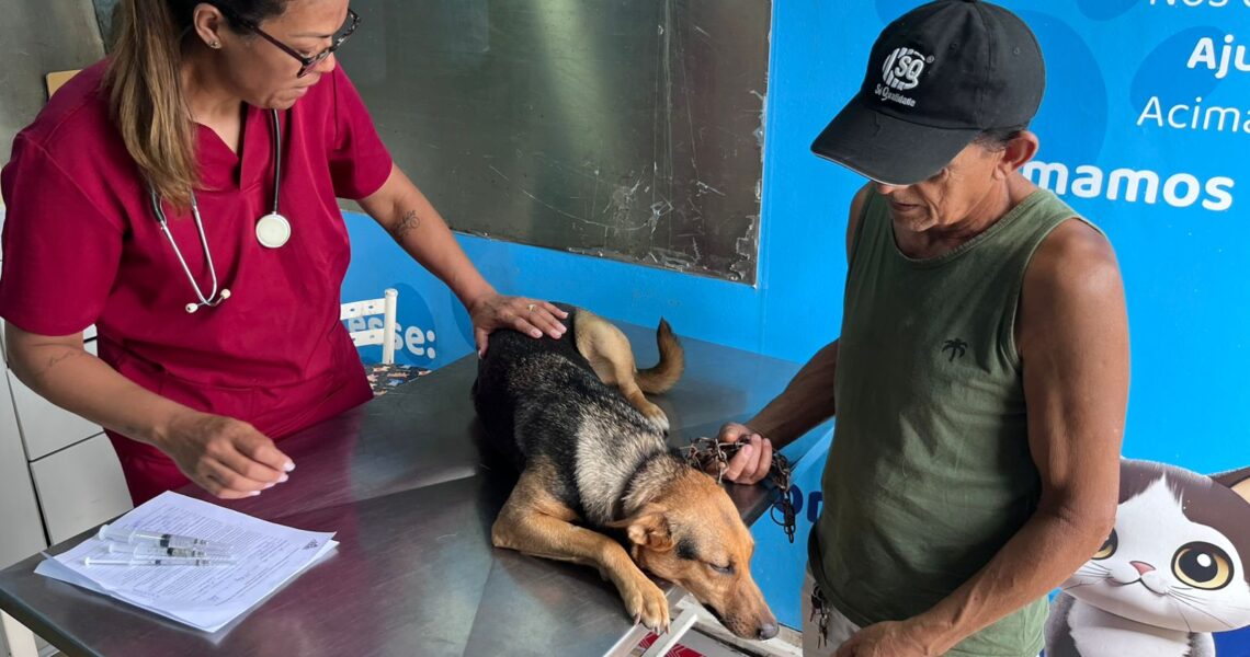 Prefeitura de Leopoldina oferece nova rodada de castração gratuita de cães e gatos