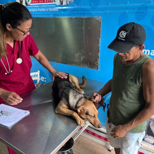 Prefeitura de Leopoldina oferece nova rodada de castração gratuita de cães e gatos