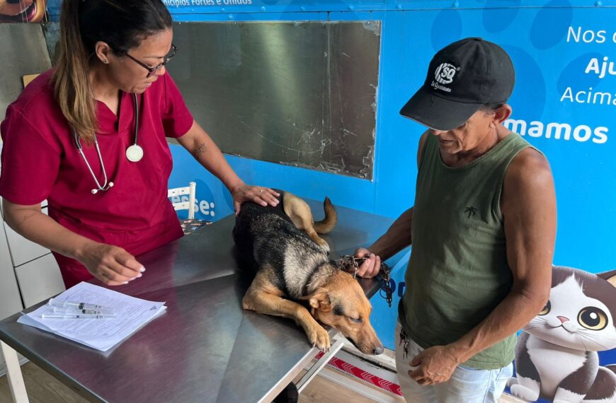 Prefeitura de Leopoldina oferece nova rodada de castração gratuita de cães e gatos