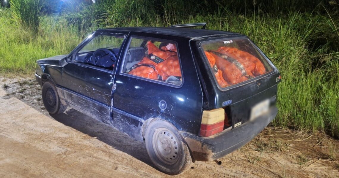 PM recupera 27 sacas de cebola após tombamento de carreta na BR-116 em Leopoldina