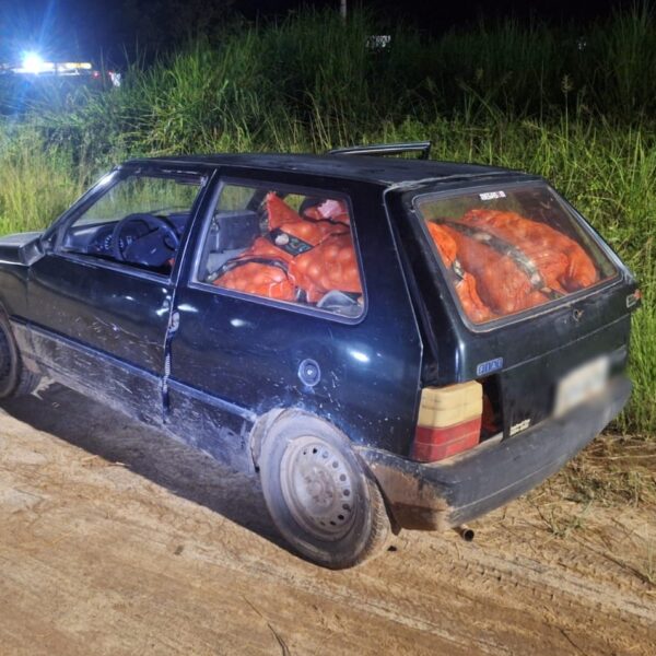 PM recupera 27 sacas de cebola após tombamento de carreta na BR-116 em Leopoldina