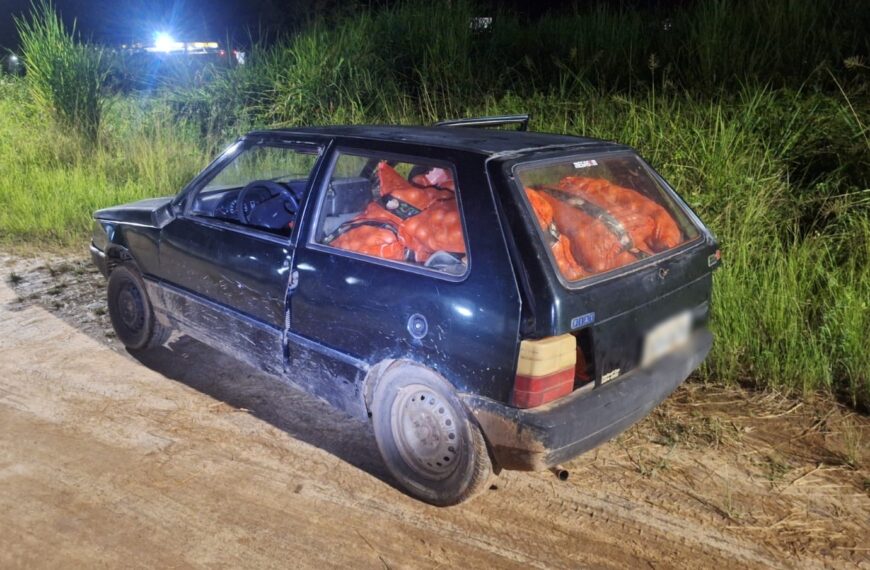 PM recupera 27 sacas de cebola após tombamento de carreta na BR-116 em Leopoldina
