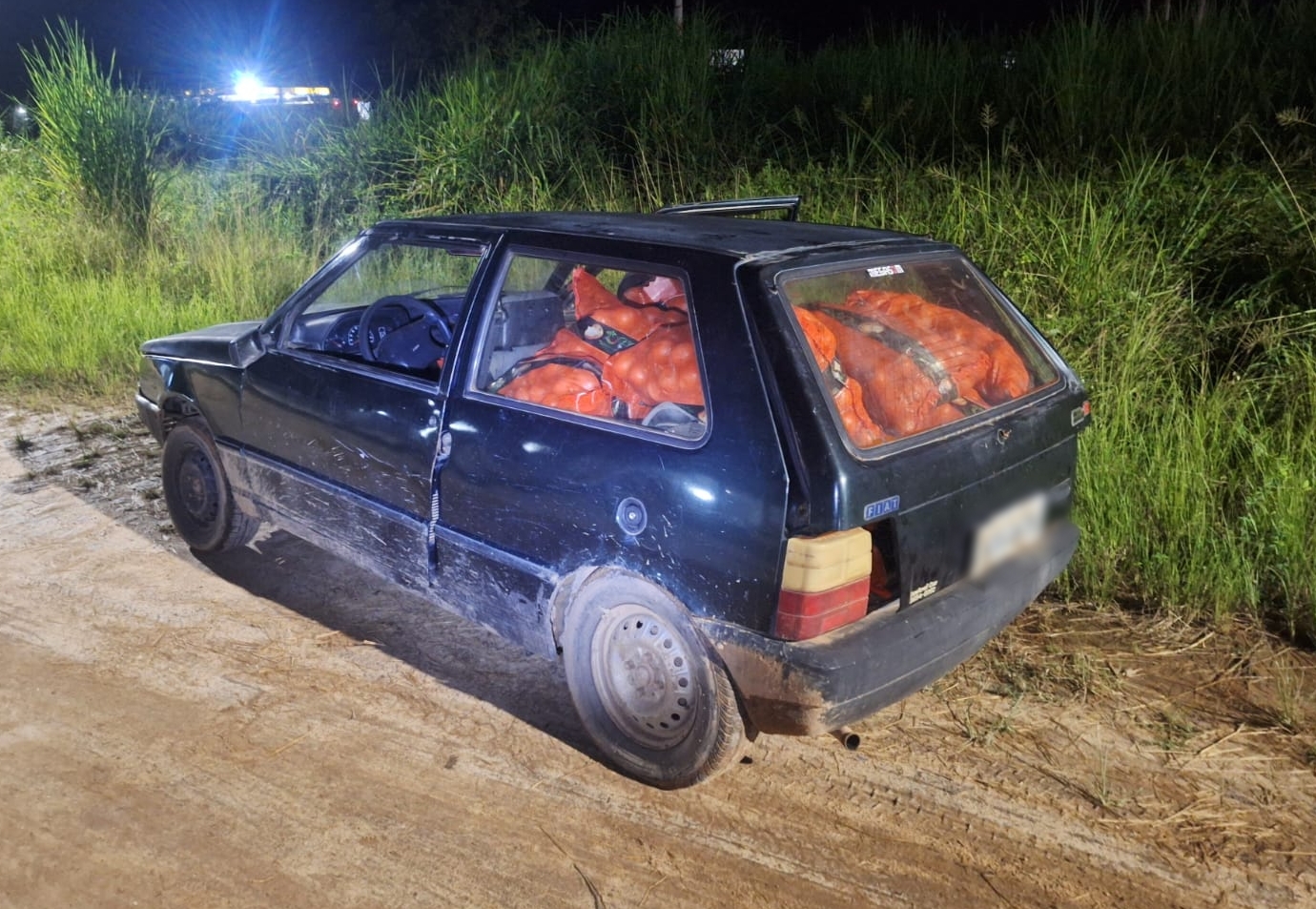 PM recupera 27 sacas de cebola após tombamento de carreta na BR-116 em Leopoldina