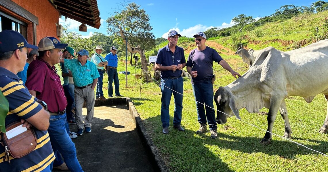 Produtor de Leopoldina recebe criadores da América Central para conhecer genética do Guzerá Leiteiro