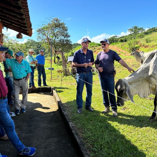 Produtor de Leopoldina recebe criadores da América Central para conhecer genética do Guzerá Leiteiro