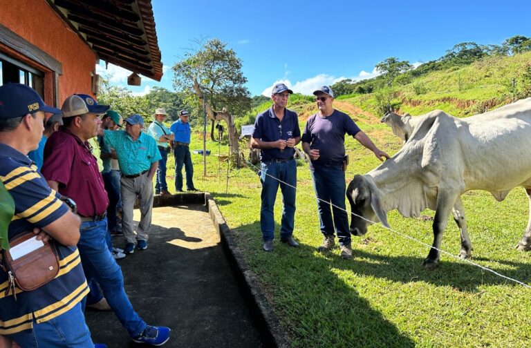 Produtor de Leopoldina recebe criadores da América Central para conhecer genética do Guzerá Leiteiro