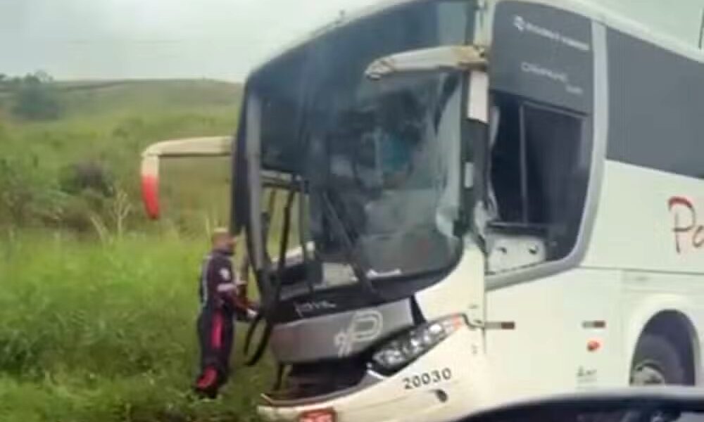 Cobradora fica ferida em acidente entre ônibus e caminhão na BR-267