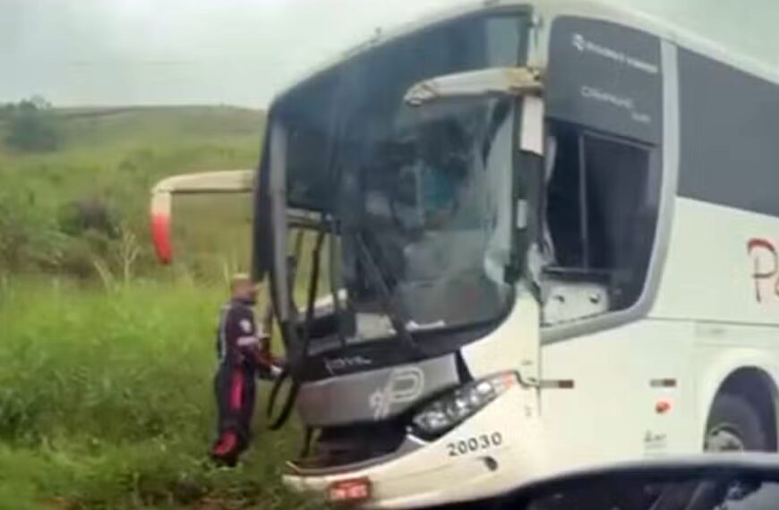 Cobradora fica ferida em acidente entre ônibus e caminhão na BR-267