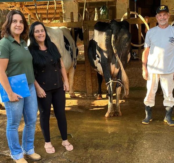 Torneio de Curral reúne 21 produtores e valoriza pecuária leiteira de Argirita