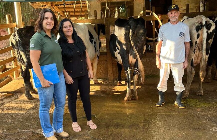 Torneio de Curral reúne 21 produtores e valoriza pecuária leiteira de Argirita