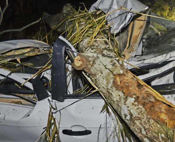 Árvore cai sobre carro após capotamento e motorista morre na BR-356 em Muriaé