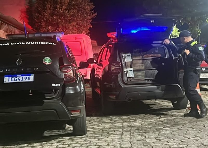 Saque de carga na Vileta em Leopoldina termina com dois presos e apreensão de 56 caixas de biscoitos