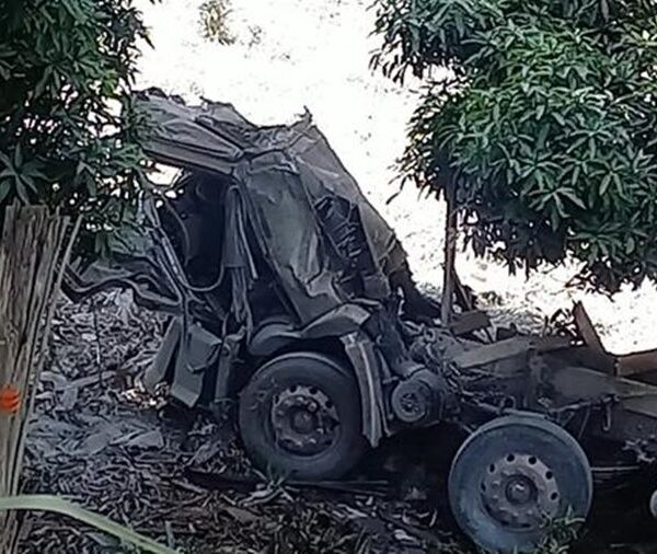 Caminhão perde os freios, cai em barranco e motorista sobrevive após ser arremessado da cabine em Muriaé