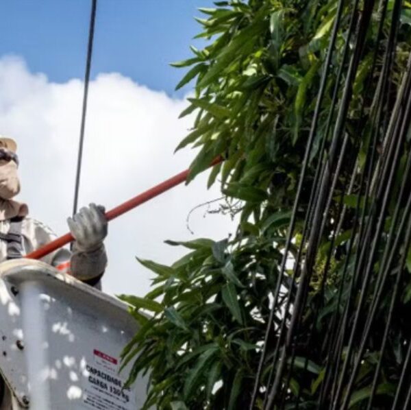 Trabalho em altura ganha novas regras e reforça cuidados para evitar acidentes