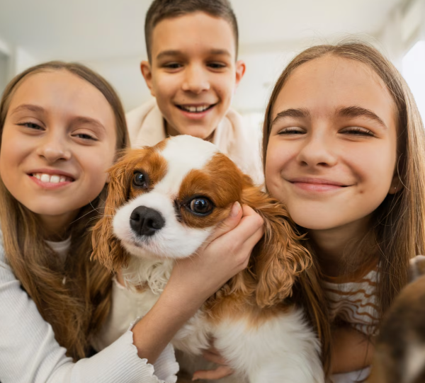 Como organizar a saúde da família e dos pets sem transformar tudo em urgência