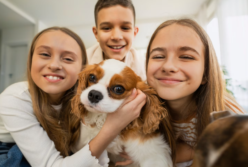 Como organizar a saúde da família e dos pets sem transformar tudo em urgência