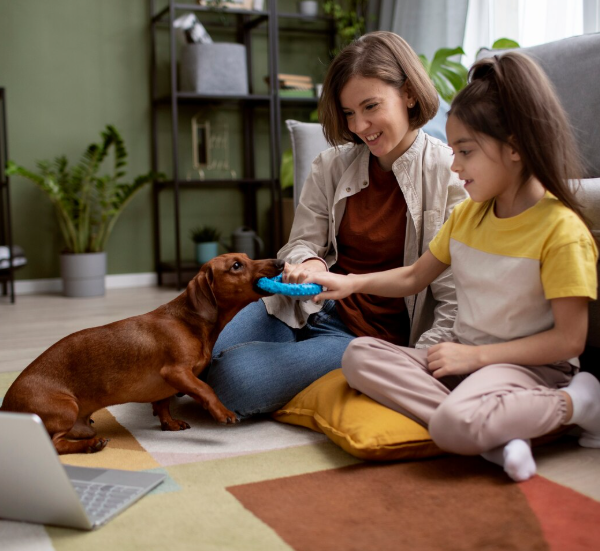 Como organizar os cuidados de saúde da família e dos pets ao longo da rotina