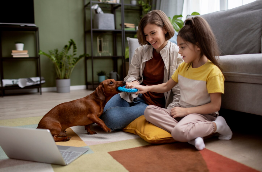 Como organizar os cuidados de saúde da família e dos pets ao longo da rotina