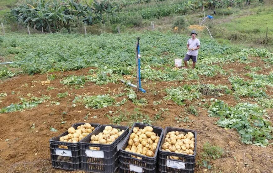 Emater-MG apoia jovens produtores e diversifica agricultura em Cataguases