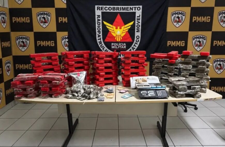 PM apreende 172 barras de maconha e prende dois homens em Ubá