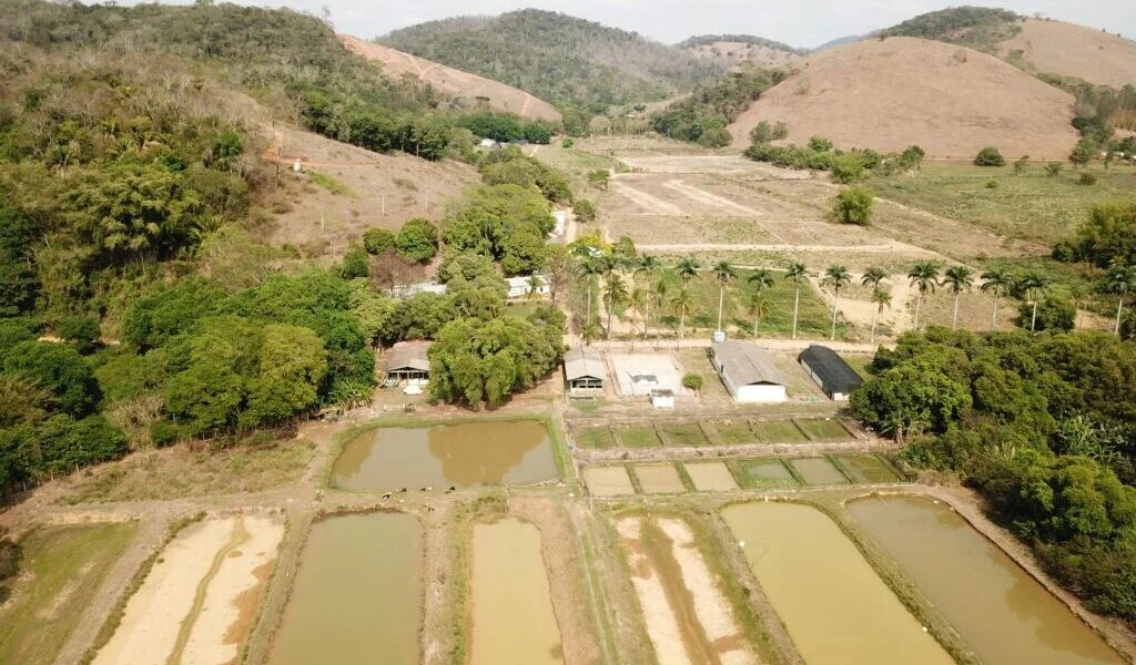 Leopoldina ganha destaque em projeto de inovação que busca reduzir perdas na criação de peixes